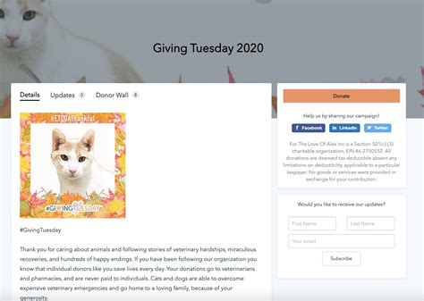 10 Creative Giving Tuesday Ideas for 2021 (With Examples)