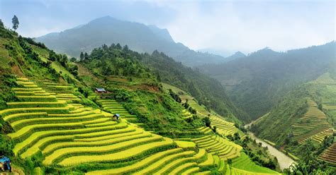 Paddy Fields, Vietnam | 83 Unreal Places You Thought Only Existed in ...