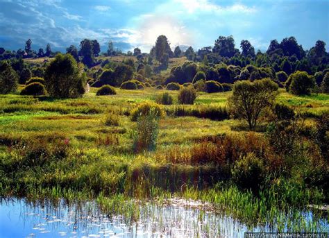 Belarusian landscape by Sergey Melnik | Amazing nature, Landscape ...