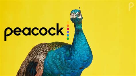 Peacock streaming service arrives on Amazon Fire TV devices | What Hi-Fi?