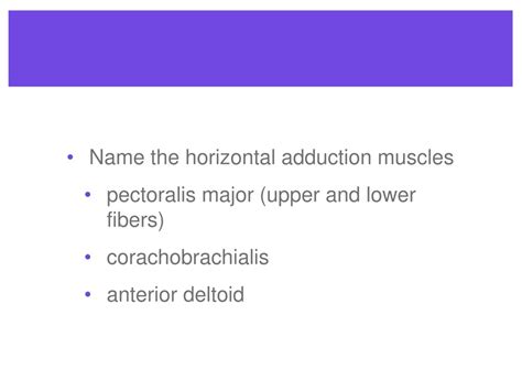 PPT - Shoulder Muscles PowerPoint Presentation, free download - ID:9133689