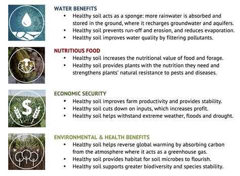 The many benefits of healthy soil – NM Healthy Soil Working Group