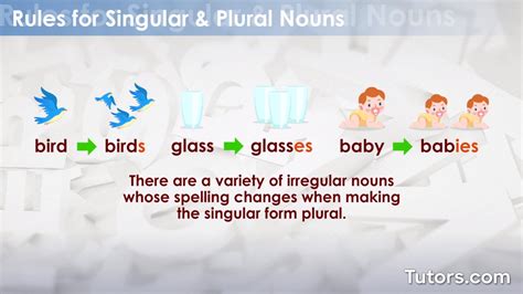 Singular and Plural Nouns — Rules and Examples