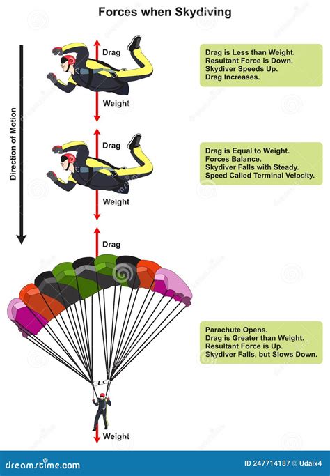 Forces when Skydiving Infographic Diagram Stock Vector - Illustration ...