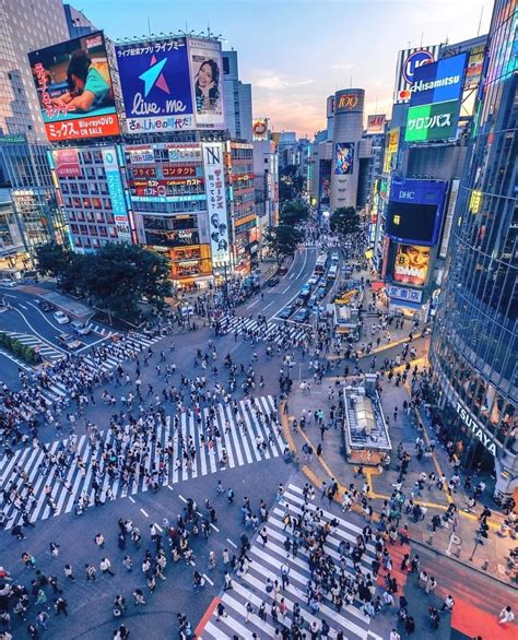 Follow -> @exploringjapan Evening at Shibuya Crossing. 💖 photo by ...