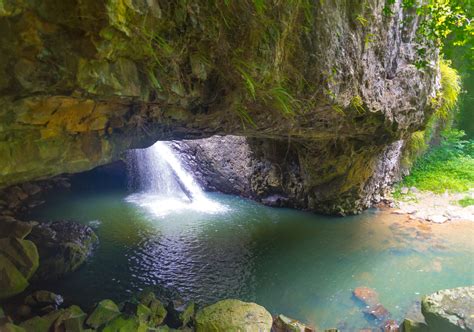 australia, Parks, Waterfalls, Crag, Springbrook, National, Park, Nature ...