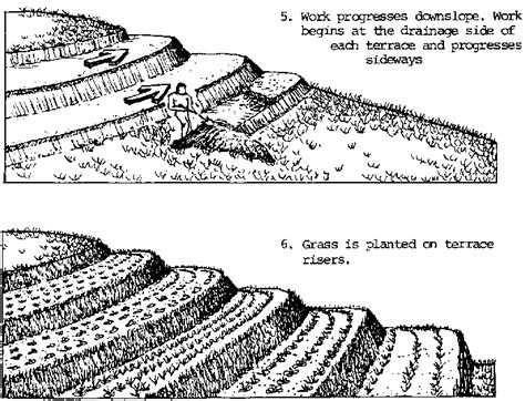 Soil conservation techniques for hillside farms: Soil conservation ...