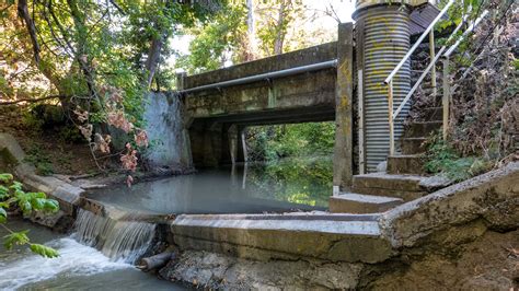 Stevens Creek County Park – renae.org