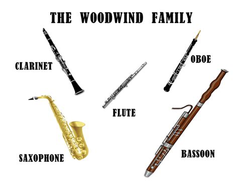 Most Beautiful Orchestra Woodwind Instruments - Classical Beast