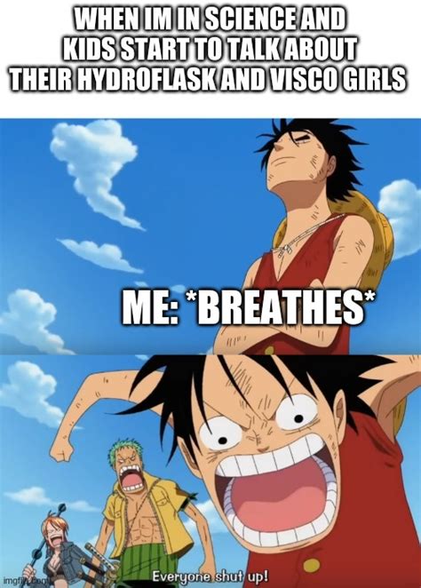 One Piece Luffy Calm Then Yelling Memes - Imgflip