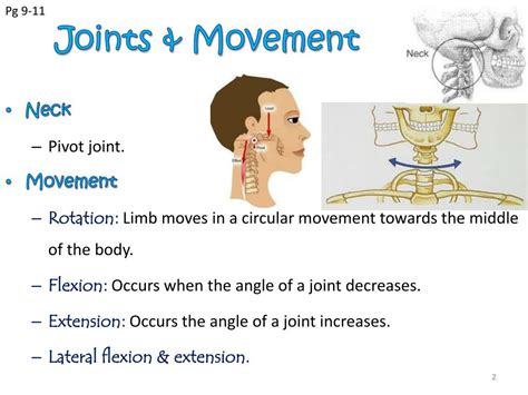 Pivot Joint Neck