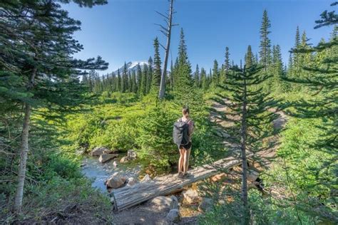 Bench And Snow Lake Trail: Wonderful Short Hike In Mt Rainier