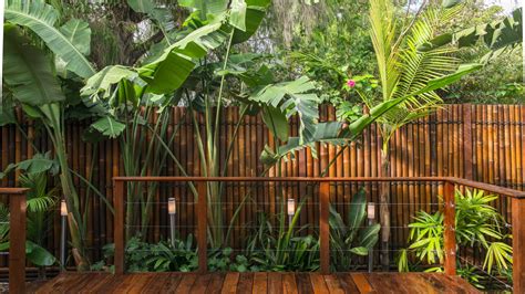 Bamboo Garden Ideas - DIY Tropical Bamboo Crafts That You Should Not ...