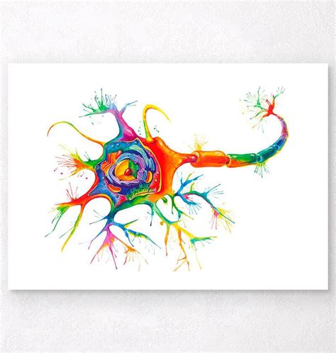 Neuron structure art print - Codex Anatomicus