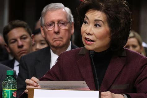 Mitch Mcconnell Family Business - Watchdog Faulted Elaine Chao For ...