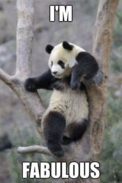 Panda Memes Are Always Adorable | Funny panda pictures, Cute animals ...