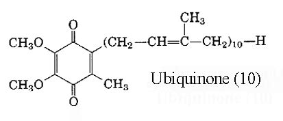 World of Biochemistry (blog about biochemistry): Cellular respiration ...