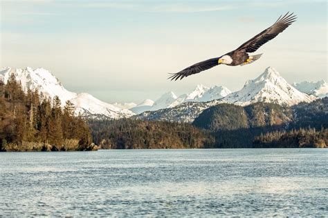 Eagle Mountains Lake Wallpaper