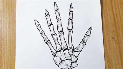 How to draw skeleton hand easy step by step || Skeleton drawing - YouTube