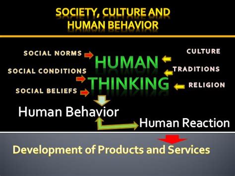 Society Culture and Human Behavior, Power Point Presentation Example