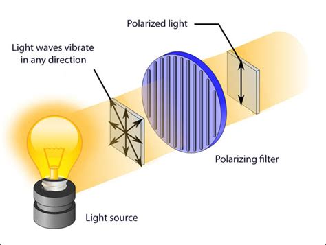 Polarisation Of Light