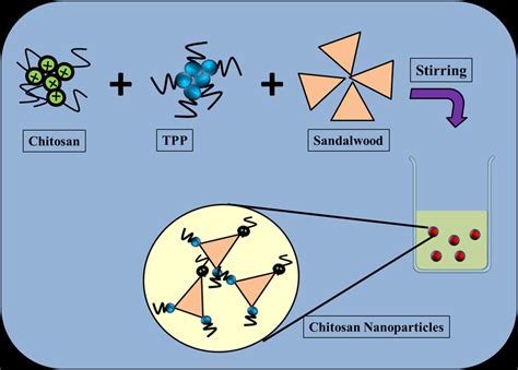 1: Chitosan nanoparticles for drug delivery. | Download Scientific Diagram