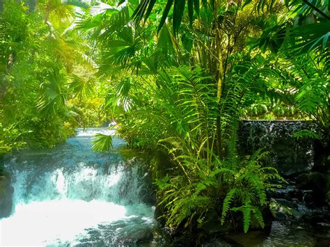 Tabacon Hot Springs | Mustseespots.com