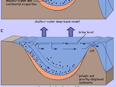 Evaporite | Salt Deposits, Sedimentary Rocks & Gypsum | Britannica