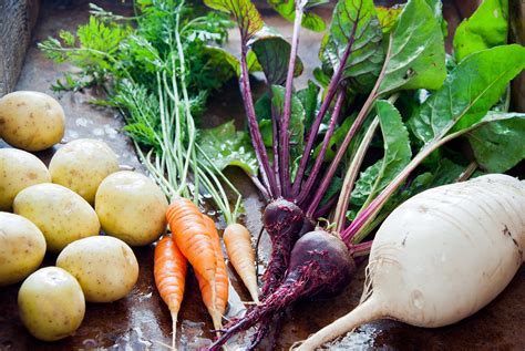 Best root vegetables - vseravegas