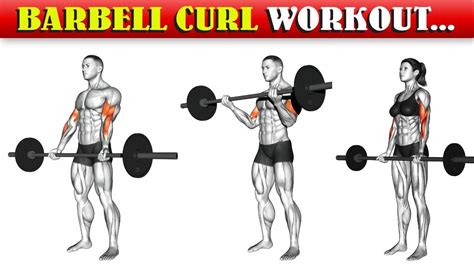 Barbell Curl Workout | Amazing Tips - YouTube