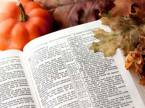 18 Fall Bible Verses to Help You Embrace the Season - Pray With Confidence