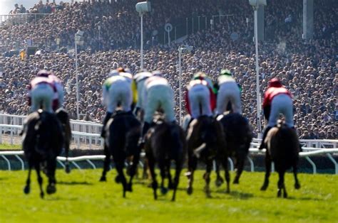 2023 Cheltenham Festival | Cheltenham Festival dates and information