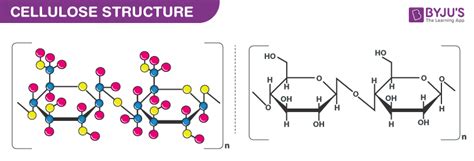 Cellulose (C6H10O5)n - Structure, Molecular Mass, Properties, Uses