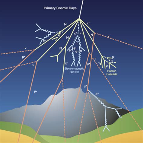 Muon Tomography | CMS Experiment