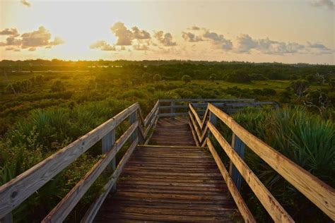 Blowing Rocks Preserve | Imagine Our Florida, Inc