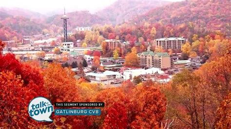 Fall Travel Ideas for Family Fun in Gatlinburg