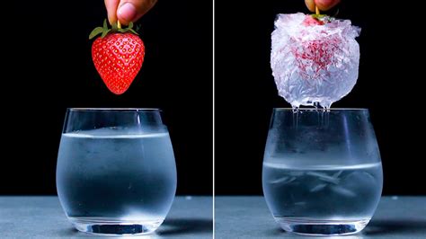 EASY SCIENCE EXPERIMENTS TO DO AT HOME - Uohere