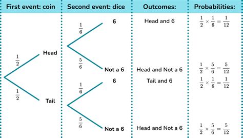 Probability Tree Diagram - GCSE Maths - Steps, Examples & Worksheet