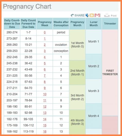 Pregnancy Week To Month Calendar | Schwangerschaftswochen ...