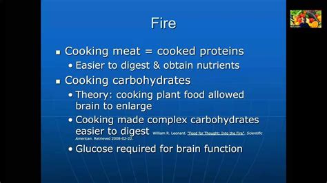 Module 1: Pt 2 - Fire, Cooking + Evolution of Homo Erectus - YouTube