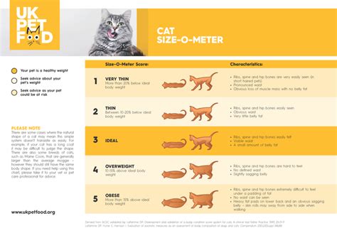 Cat Size-O-Meter | UK Pet Food