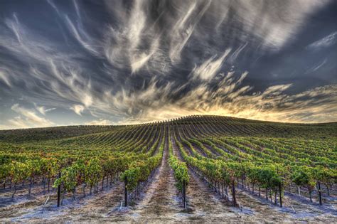 10 Places to Visit in Napa Valley - Travel Guide | Wine Enthusiast