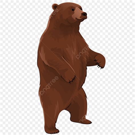 Life Size Stuffed Animal Bear Clipart