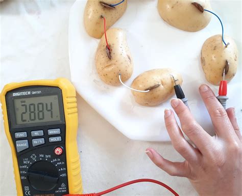 How To Make A Potato Light Bulb Science Fair Project | Shelly Lighting