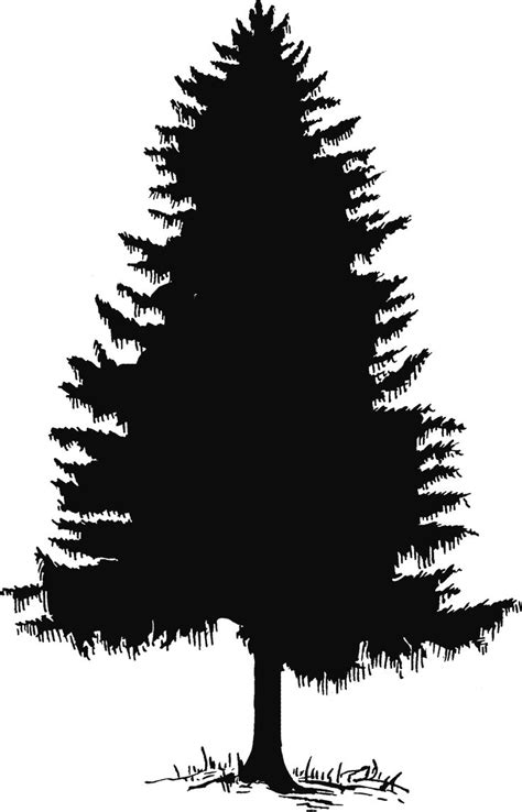 Pine tree tree silhouette and clip art on 2 - Cliparting.com