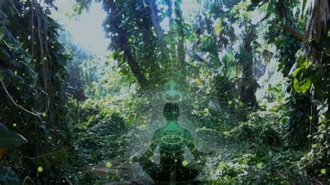 Forest Meditation | Digital art beginner, Meditation, Meditation videos