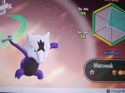 Got this shiny alolan marowak and it's 0 speed i am so freaking happy ...