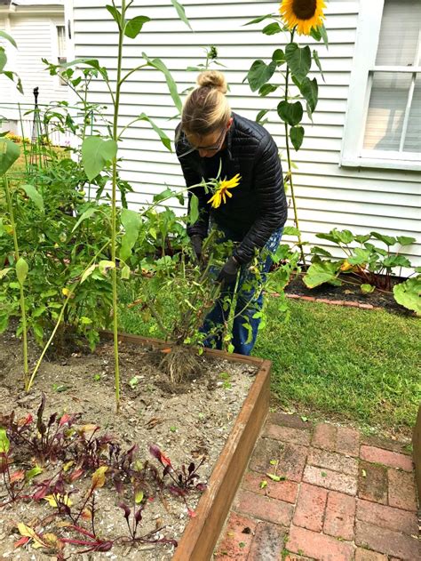 Gardening in Coastal Maine - Mid September in the Garden - One Hundred ...