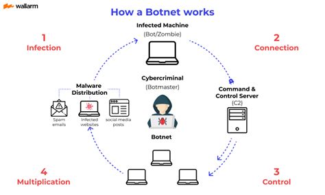 What is a Botnet? Definition, Types, Examples of Attack