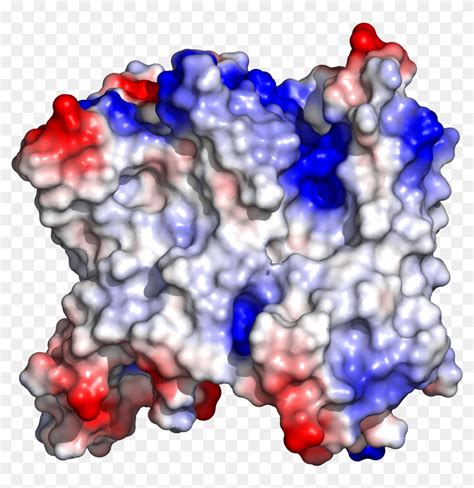 Glycosylation Is A Fundamental Cellular Process That,, HD Png Download ...